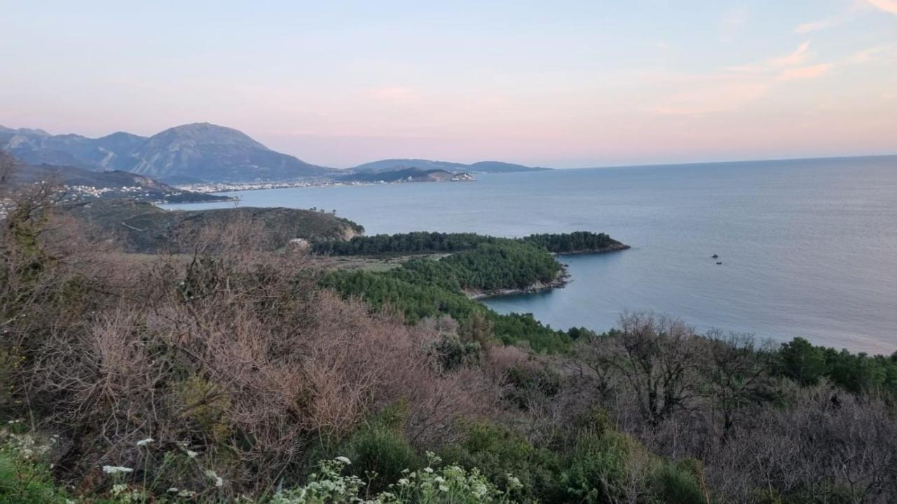 Greenhill-1 Sutomore Apartm Dış mekan fotoğraf